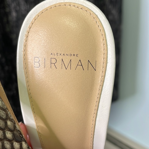 Alexandre Birman The most beautiful shoes in my closet! - Picture 3 of 6